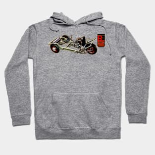 RELIANT REGAL - brochure Hoodie